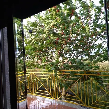 Solaria House
