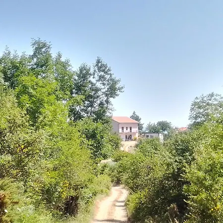 Venkovský dům Solaria House Moliterno